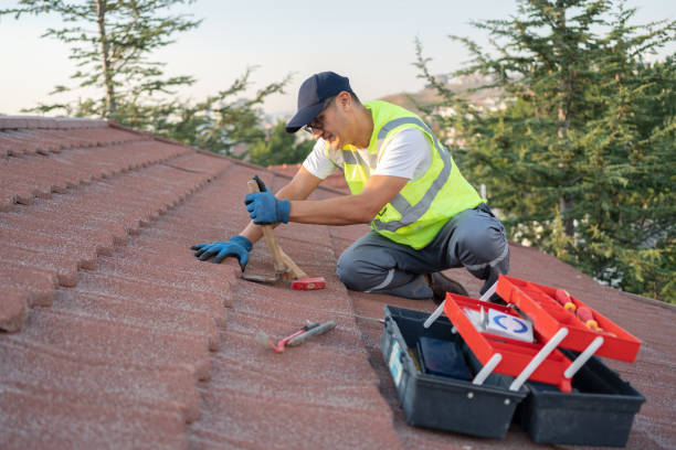 Best Roof Leak Repair  in North Fort Lewis, WA