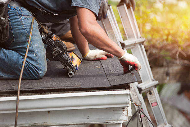 Best Storm Damage Roof Repair  in North Fort Lewis, WA