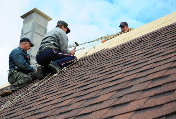 Best Metal Roofing Contractor  in North Fort Lewis, WA